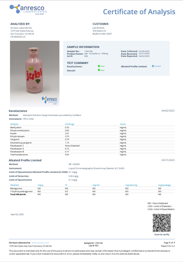 Jubi Strawberry Chill Kava Shot — The Natural Relaxation Shot That Actually Works